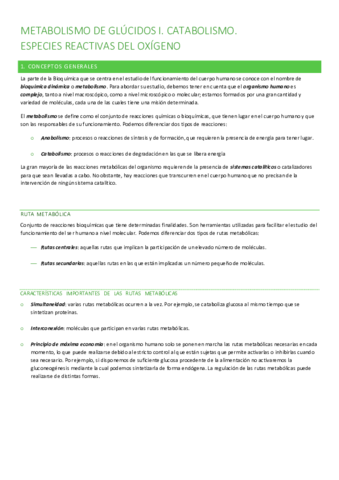 catabolismo glúcidos