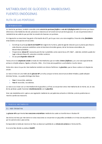 anabolismo glúcidos