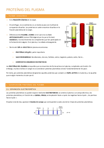 proteinas-plasma.pdf