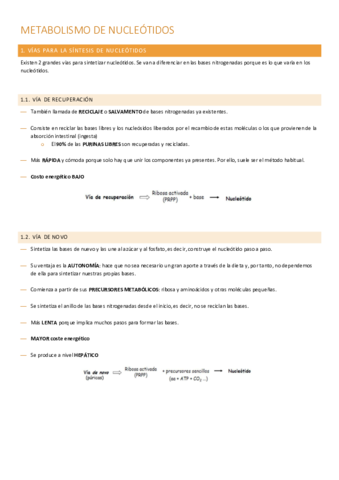 metabolismo-de-nucleotidos.pdf