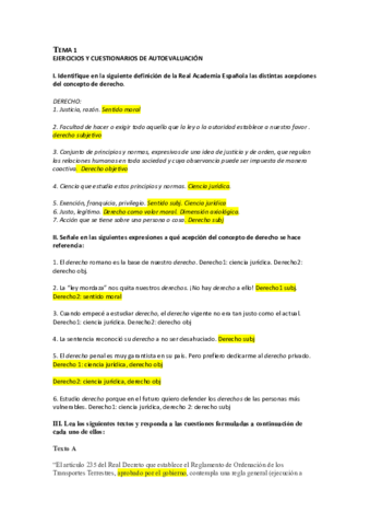 teoria-del-derecho-.pdf