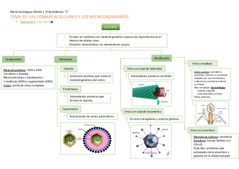 Microorganismos y formas acelulares