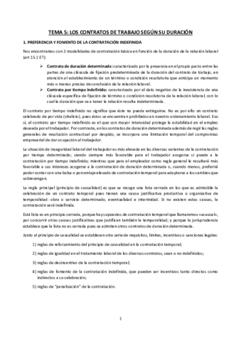 TEMA-5.pdf