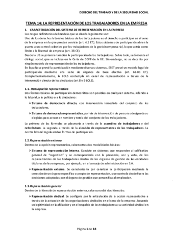 TEMA-14.pdf