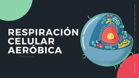 Respiracion-Celular-Aerobica-.pdf