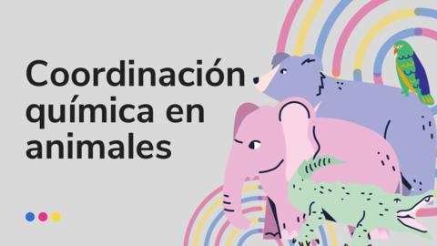 Coordinacion-Quimica-en-Animales.pdf