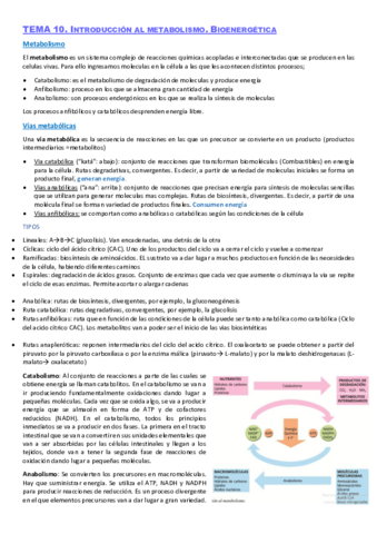 bioquimica-segundo-cuatri.pdf