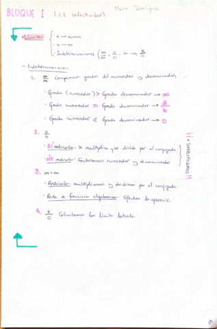 FUNCIONES-Mario-Dominguez-.pdf