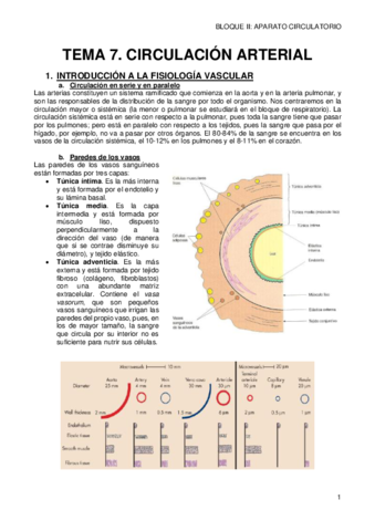 7-CIRCULACION-ARTERIAL.pdf