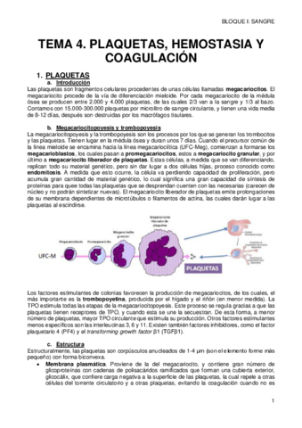 4-PLAQUETAS-Y-COAGULACION.pdf