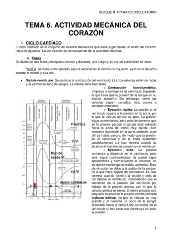 6-ACTIVIDAD-MECANICA-DEL-CORAZON.pdf