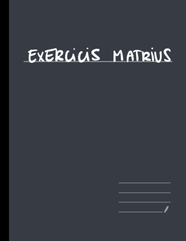 Exercises-MATRIUS-Paula-Juan-Royo.pdf