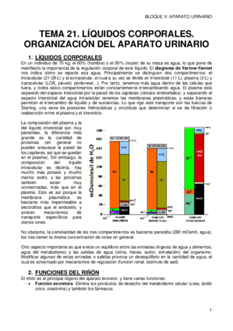 21-LIQUIDOS-CORPORALES-Y-ORGANIZACION-GENERAL-SIST-URINARIO.pdf