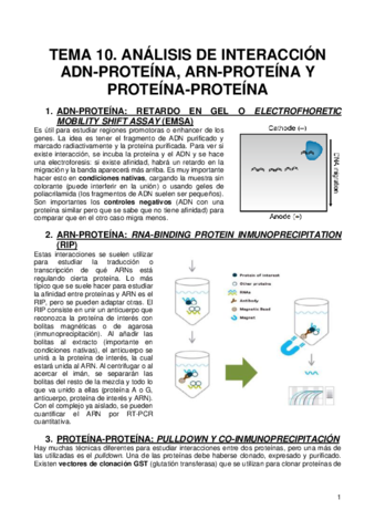 10-INTERACCIONES-.pdf