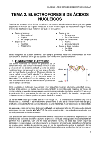 2-ELECTROFORESIS-DE-AC-NUCLEICOS.pdf