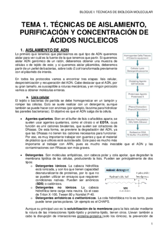 1-AISLAMIENTO-DE-AC-NUCLEICOS.pdf