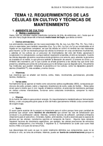 12-REQUERIMIENTOS-Y-PROCEDIMIENTOS.pdf