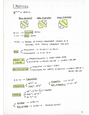 ✅ RESUMEN PARA EXÁMENES.pdf