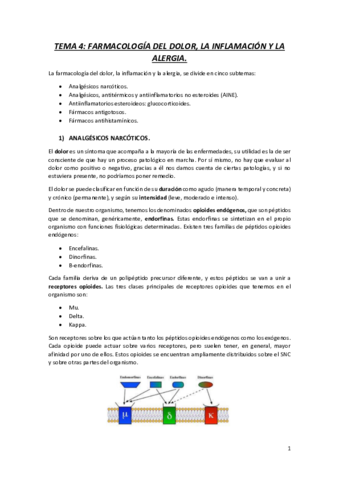 TEMA-4.pdf
