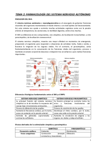 TEMA-2.pdf