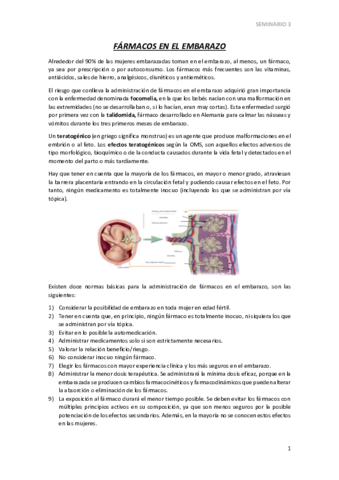 SEMINARIO-3.pdf