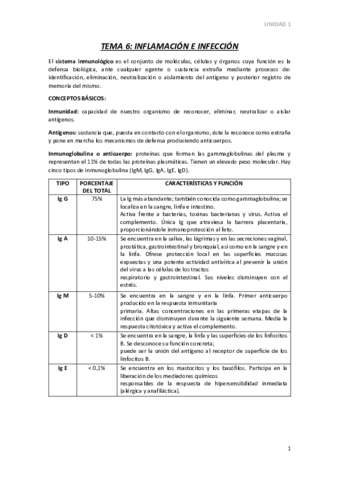 TEMA-6.pdf