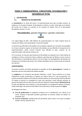 TEMA-3.pdf