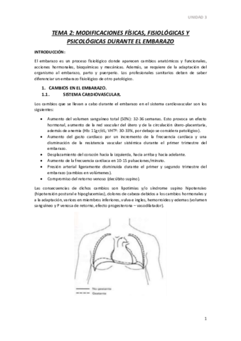 TEMA-2.pdf