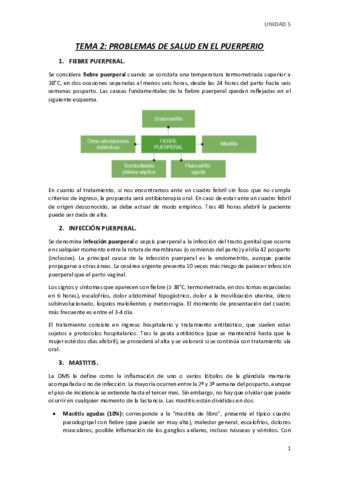 TEMA-2.pdf