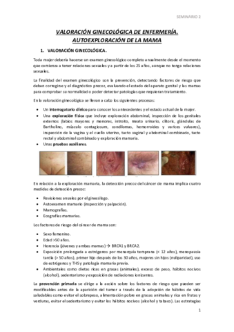 SEMINARIO-2.pdf
