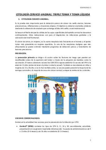 SEMINARIO-3.pdf