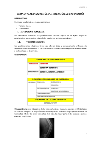 TEMA-3.pdf