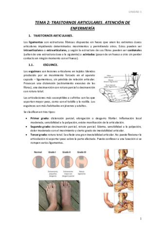 TEMA-2.pdf