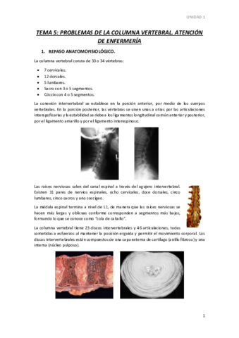 TEMA-5.pdf