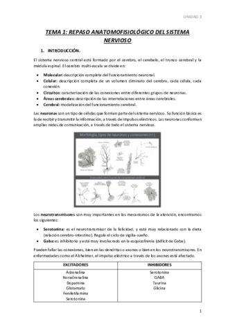 TEMA-1.pdf