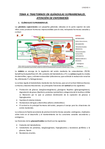 TEMA-4.pdf