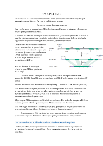 T9-SPLICING.pdf