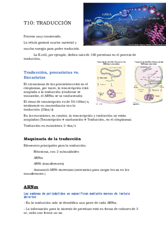 T10TRADUCCION.pdf