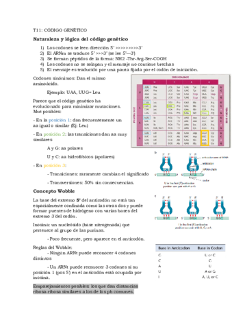 T11Codigo-genetico.pdf