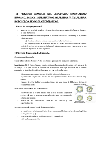 Temario-Anatomia-2.pdf