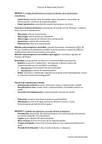 RESUMEN-MATERNIDAD.pdf