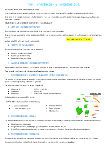 Tema-1.pdf