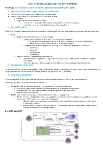 Tema-24.pdf