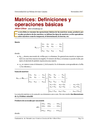 1matricesdefinicionesbasicas.pdf