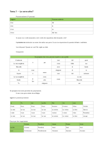 Gramatica tema 7.pdf
