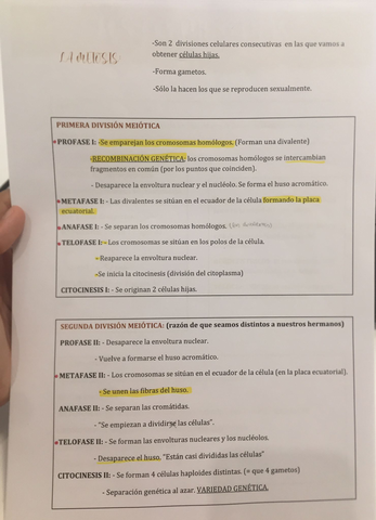 bio.jpg