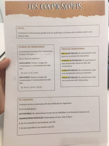 bio.jpg