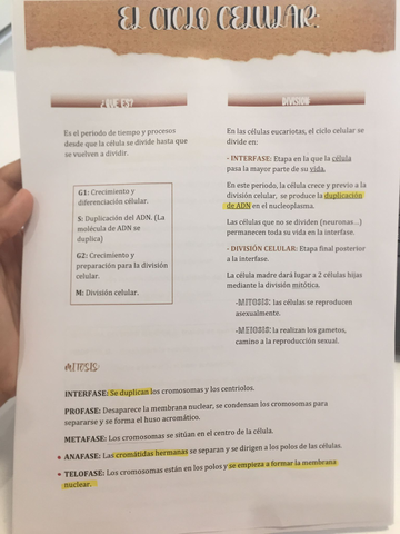 bio.jpg