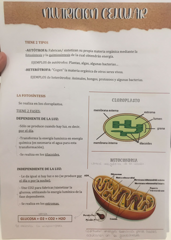 bio.jpg