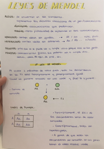 bio.jpg